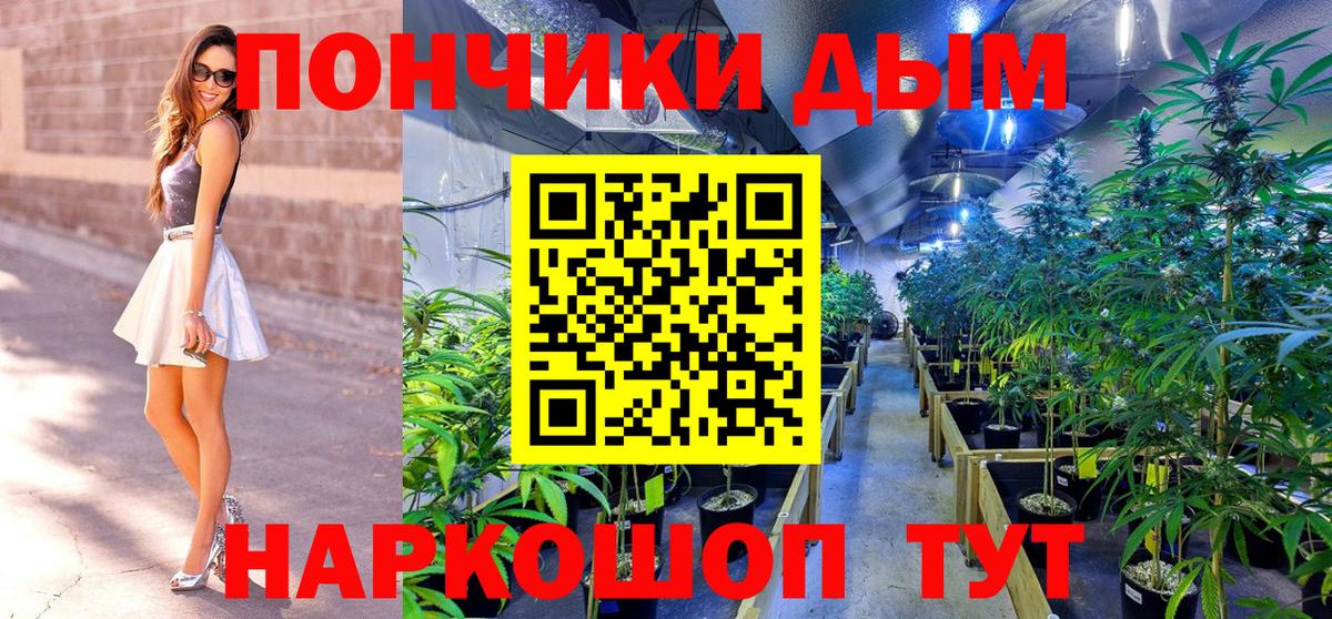 Бошки марихуана марихуана  Марихуана индика  МАРИХУАНА AK-47  Вход с VPN  Конопля ГИДРОПОН  Лесосибирск 